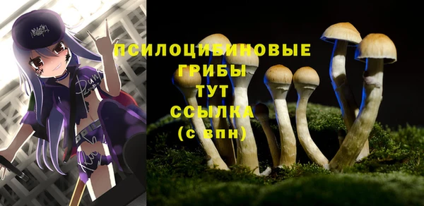 трава Заводоуковск